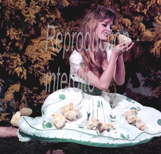 Brigitte Bardot PHOTOS